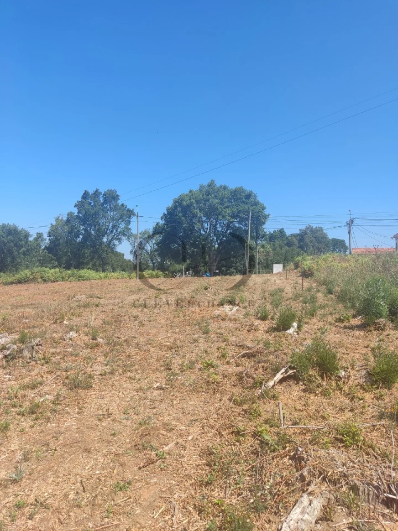 Terreno para Venda em Anta e Guetim Foto 5