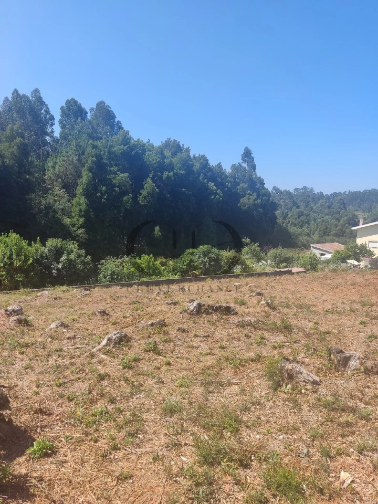 Terreno para Venda em Anta e Guetim Foto 9