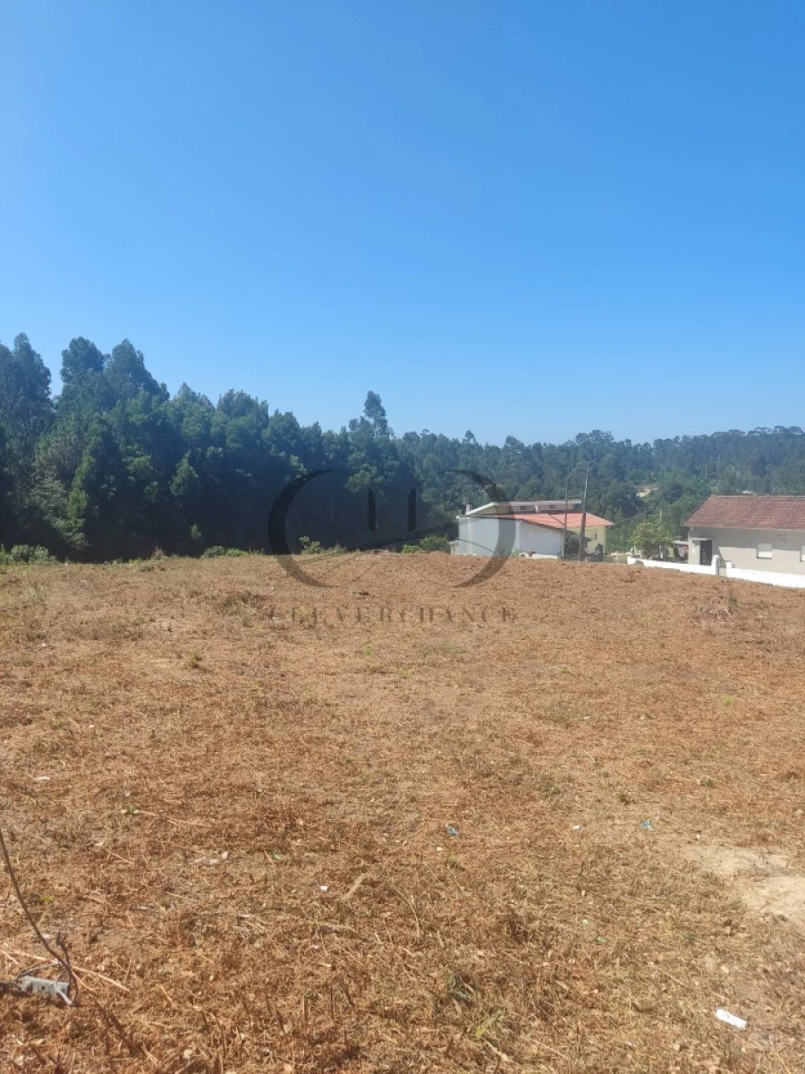 Terreno para Venda em Anta e Guetim Foto 4