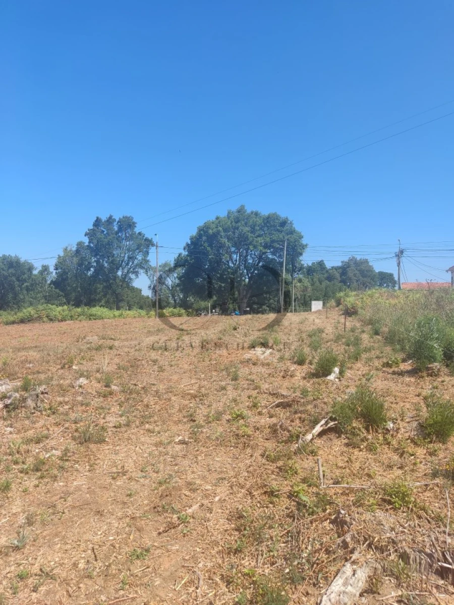 Terreno para Venda em Anta e Guetim Foto 5