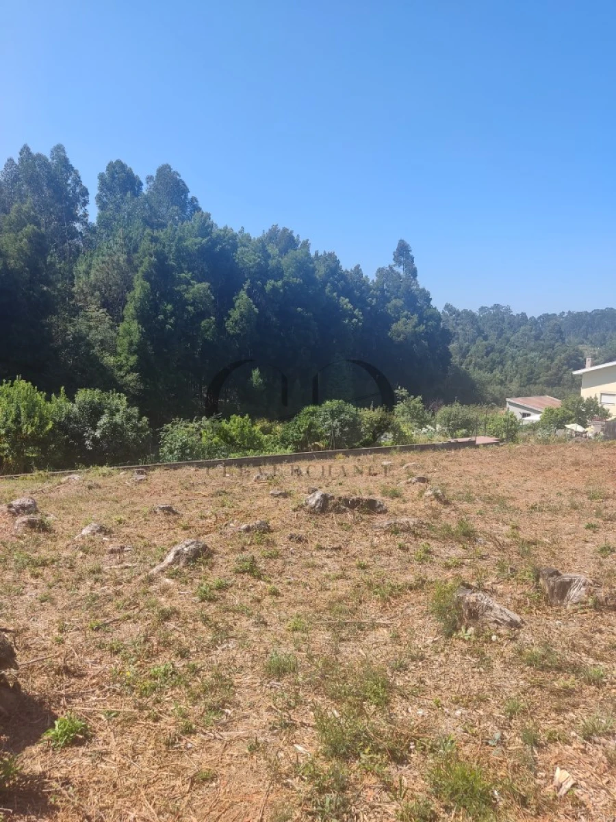 Terreno para Venda em Anta e Guetim Foto 9