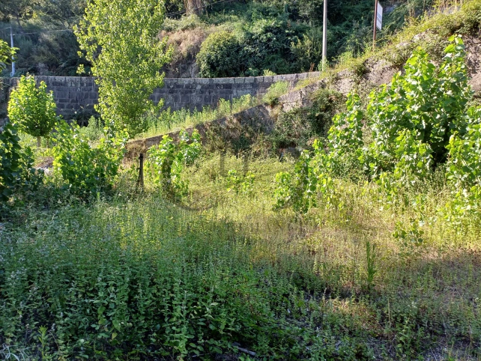 Terreno para Venda em Marco Foto 4