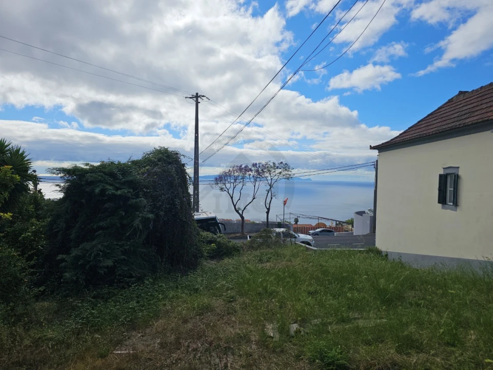 Terreno Misto para Venda em Caniço Foto 5
