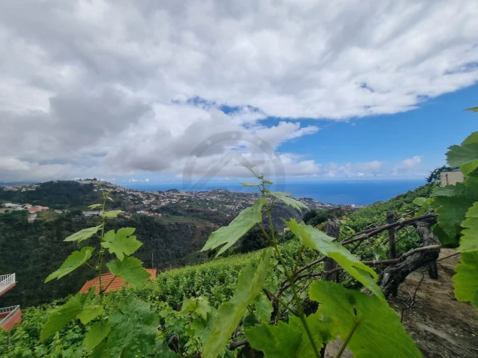 Moradia T3 para Venda em Estreito de Camara de Lobos Foto 7
