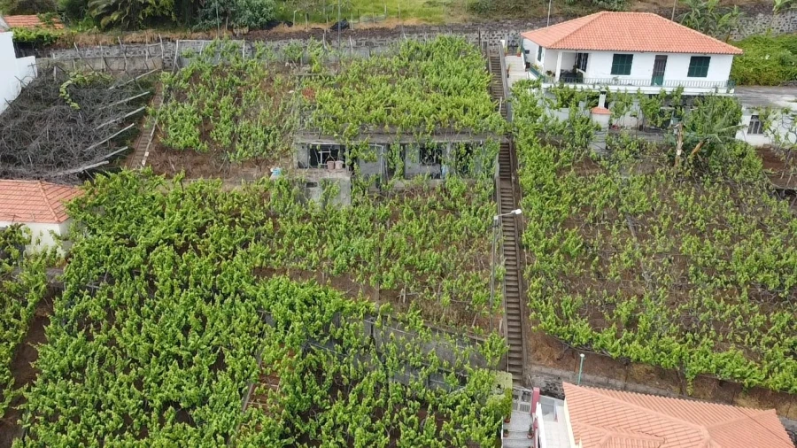 Moradia T3 para Venda em Estreito de Camara de Lobos Foto 13