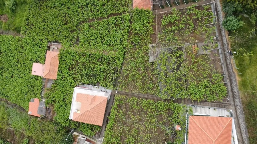 Moradia T3 para Venda em Estreito de Camara de Lobos Foto 15