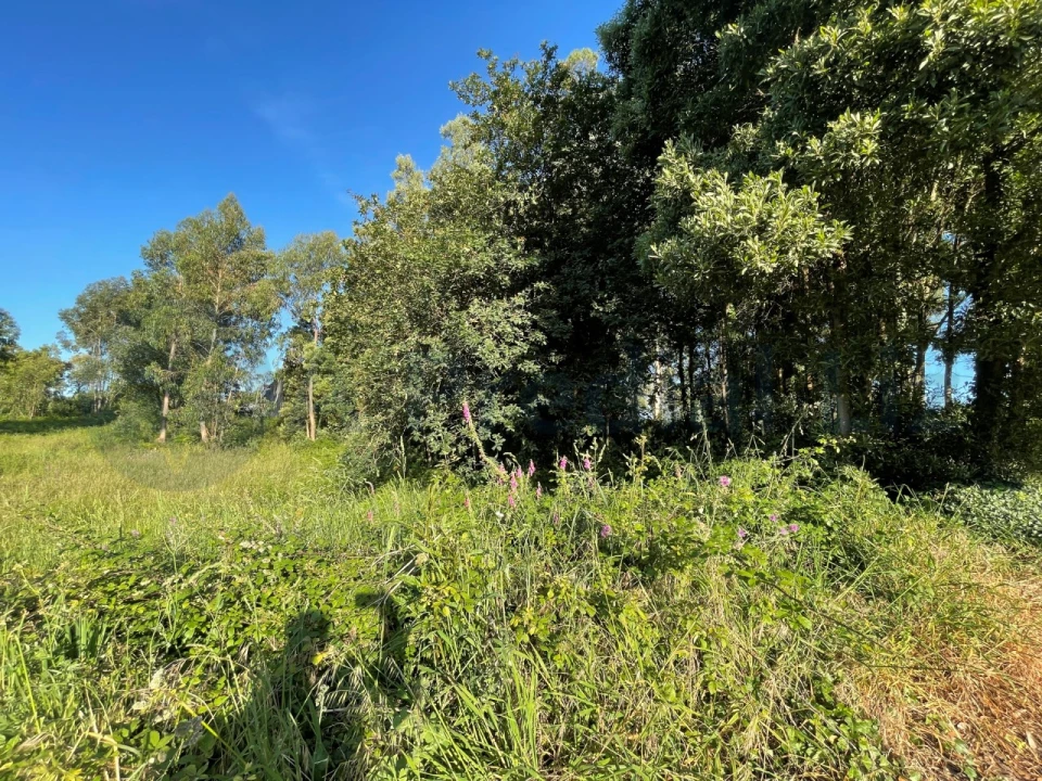 Terreno para Venda em Gulpilhares e Valadares Foto 1