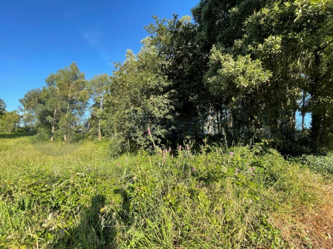 Terreno para Venda em Gulpilhares e Valadares Foto 1