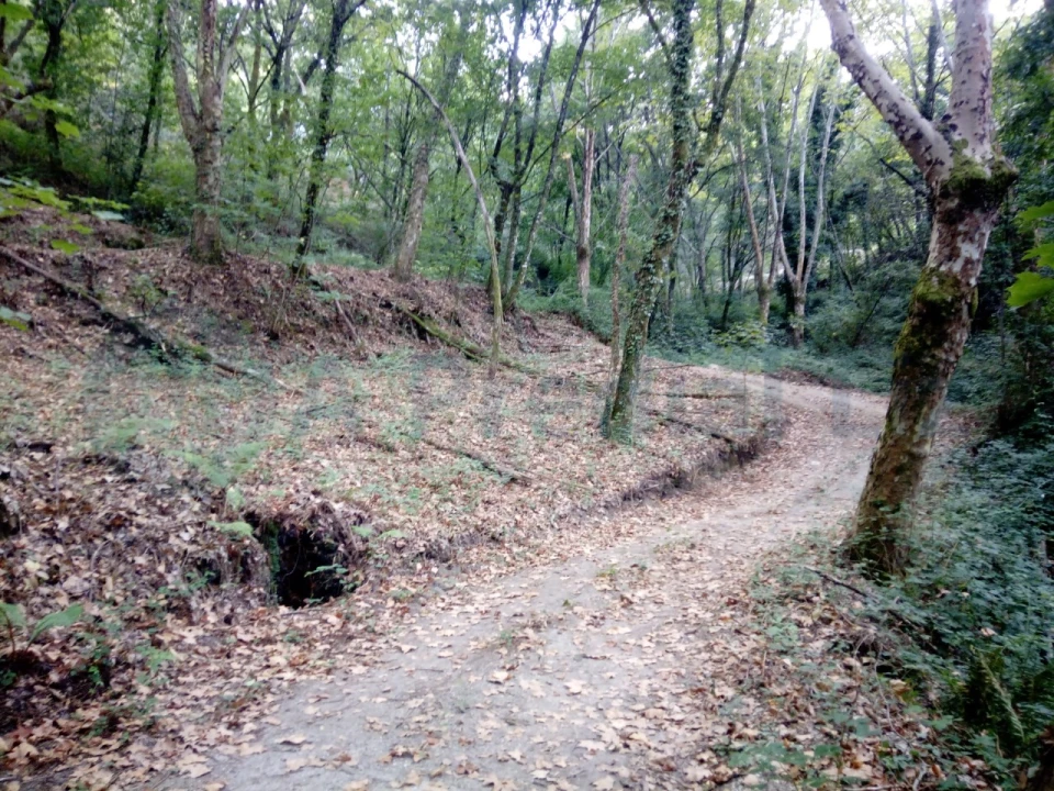Terreno para Venda em Caniçada e Soengas Foto 3