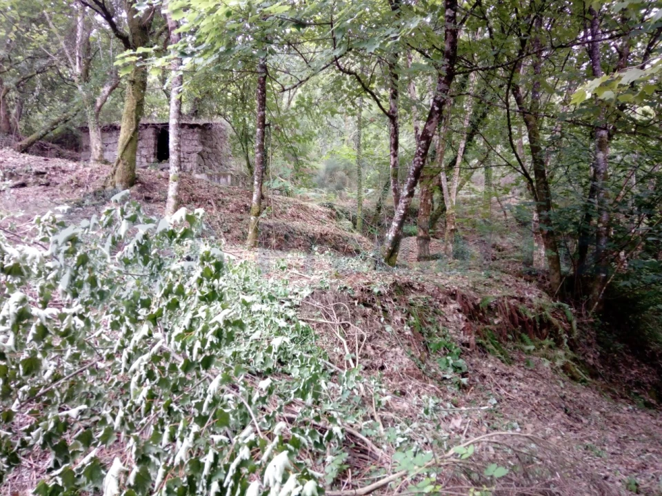 Terreno para Venda em Caniçada e Soengas Foto 5