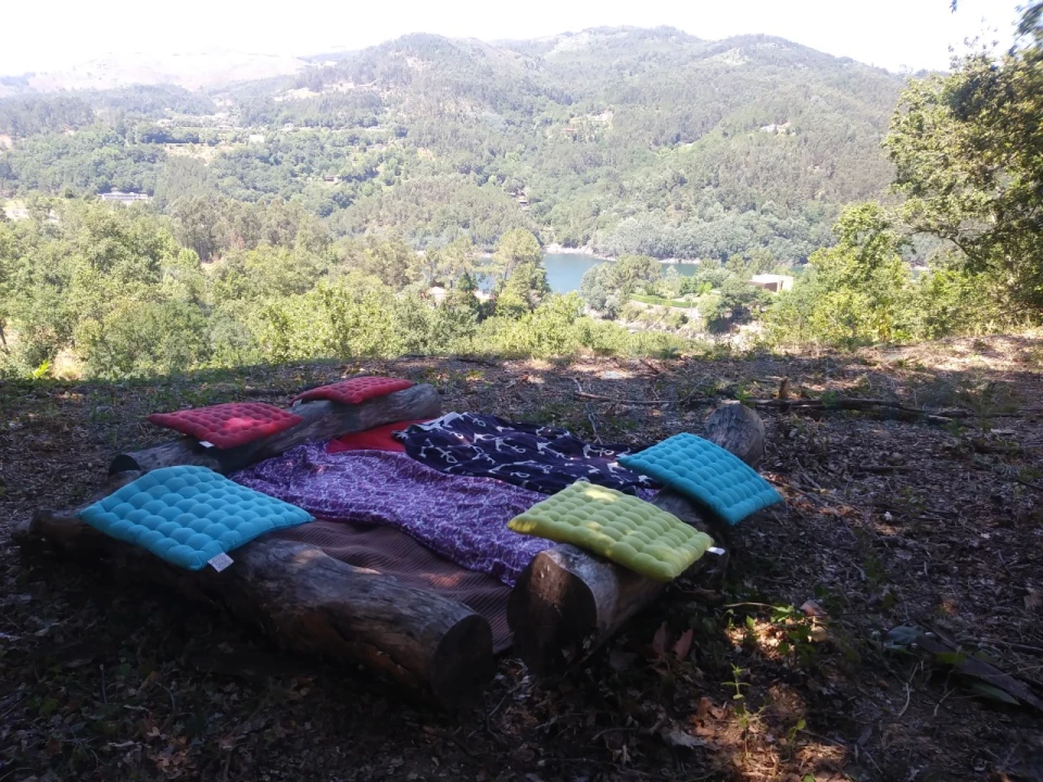 Terreno para Venda em Caniçada e Soengas Foto 6