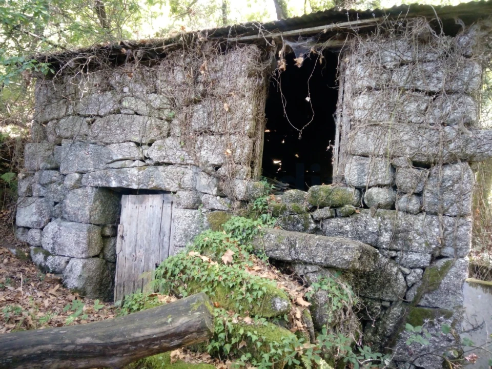 Terreno para Venda em Caniçada e Soengas Foto 10