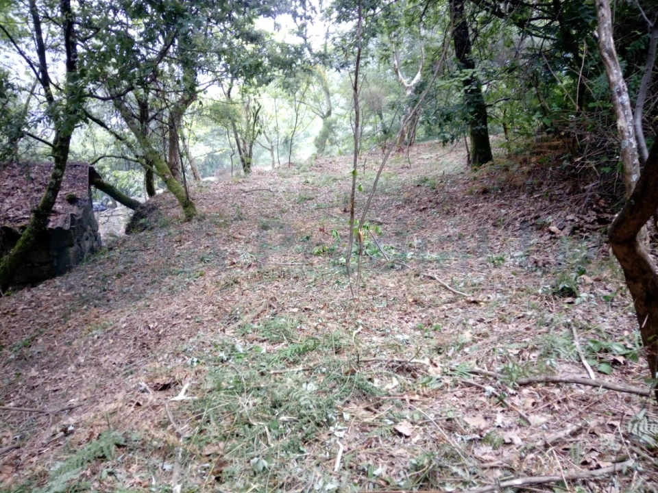 Terreno para Venda em Caniçada e Soengas Foto 28