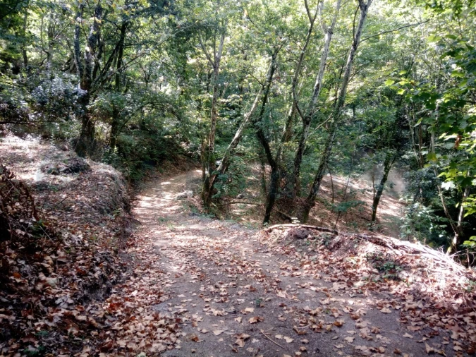 Terreno para Venda em Caniçada e Soengas Foto 4