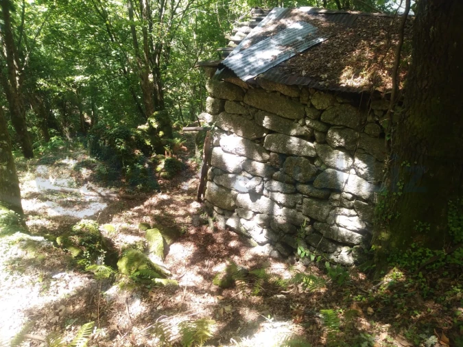 Terreno para Venda em Caniçada e Soengas Foto 11