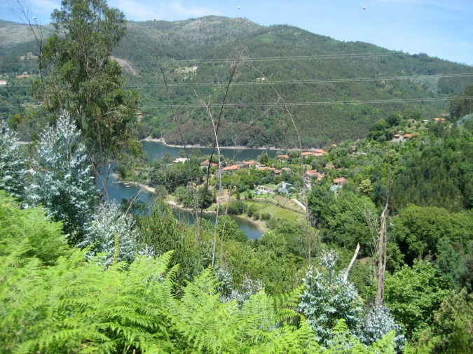 Terreno para Venda em Caniçada e Soengas Foto 14