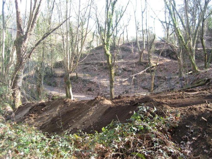 Terreno para Venda em Caniçada e Soengas Foto 15