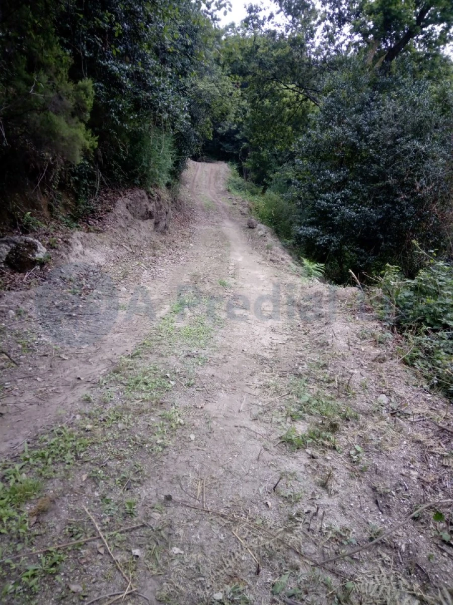 Terreno para Venda em Caniçada e Soengas Foto 16