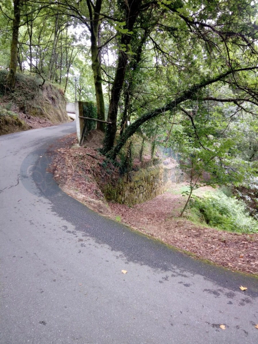 Terreno para Venda em Caniçada e Soengas Foto 17