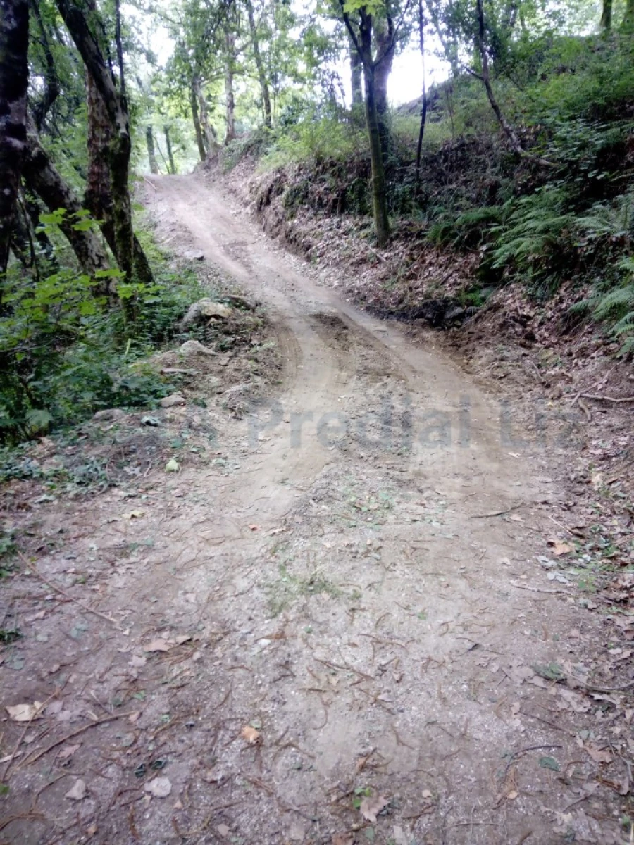 Terreno para Venda em Caniçada e Soengas Foto 20
