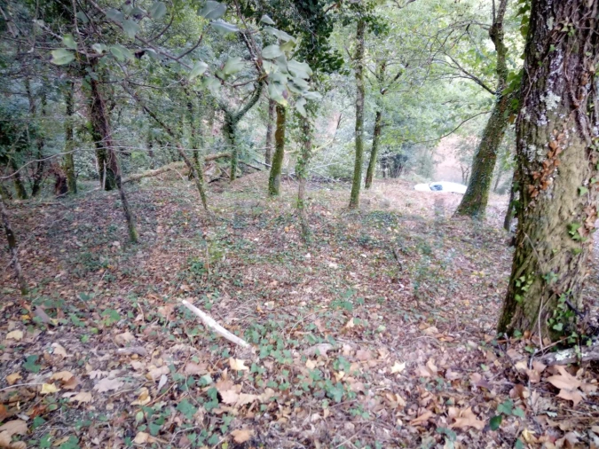 Terreno para Venda em Caniçada e Soengas Foto 23