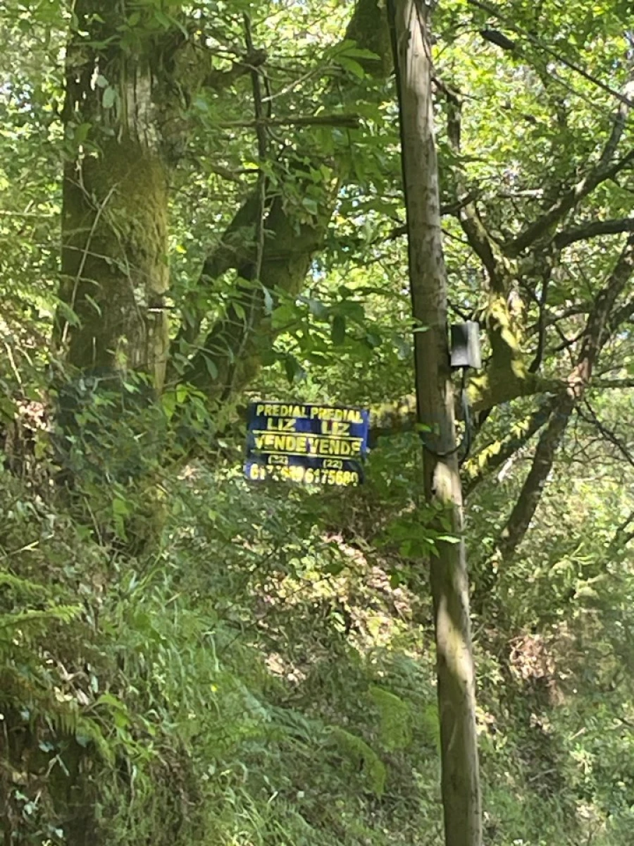 Terreno para Venda em Caniçada e Soengas Foto 29