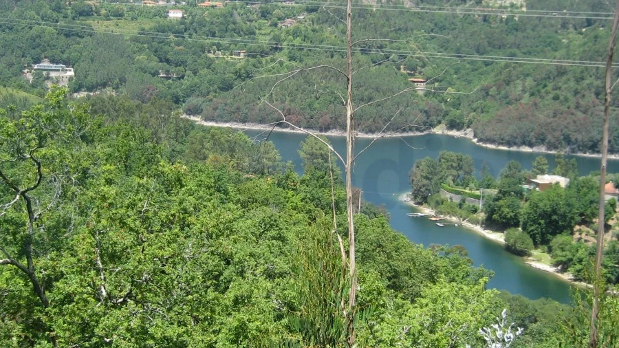Terreno para Venda em Caniçada e Soengas