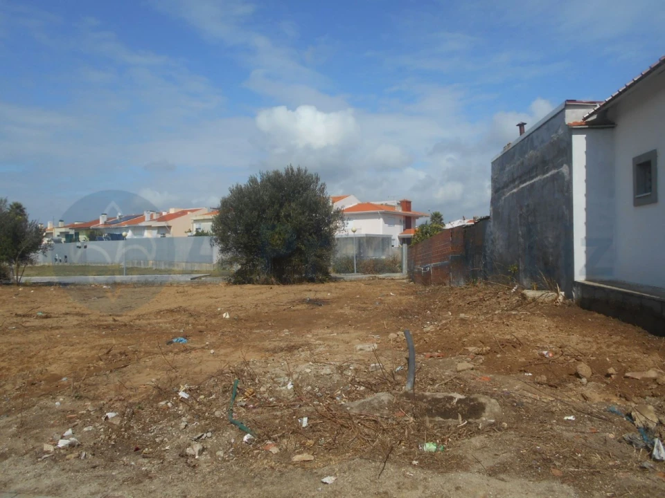 Terreno para Venda em Vila Nova da Telha Foto 4