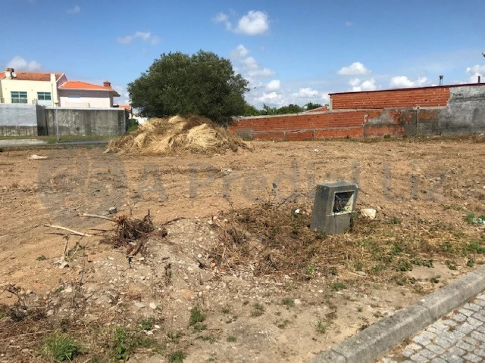 Terreno para Venda em Vila Nova da Telha Foto 2