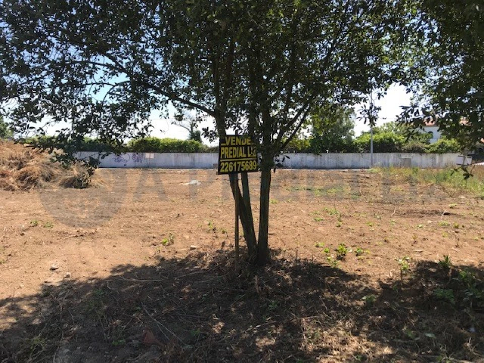 Terreno para Venda em Vila Nova da Telha Foto 8