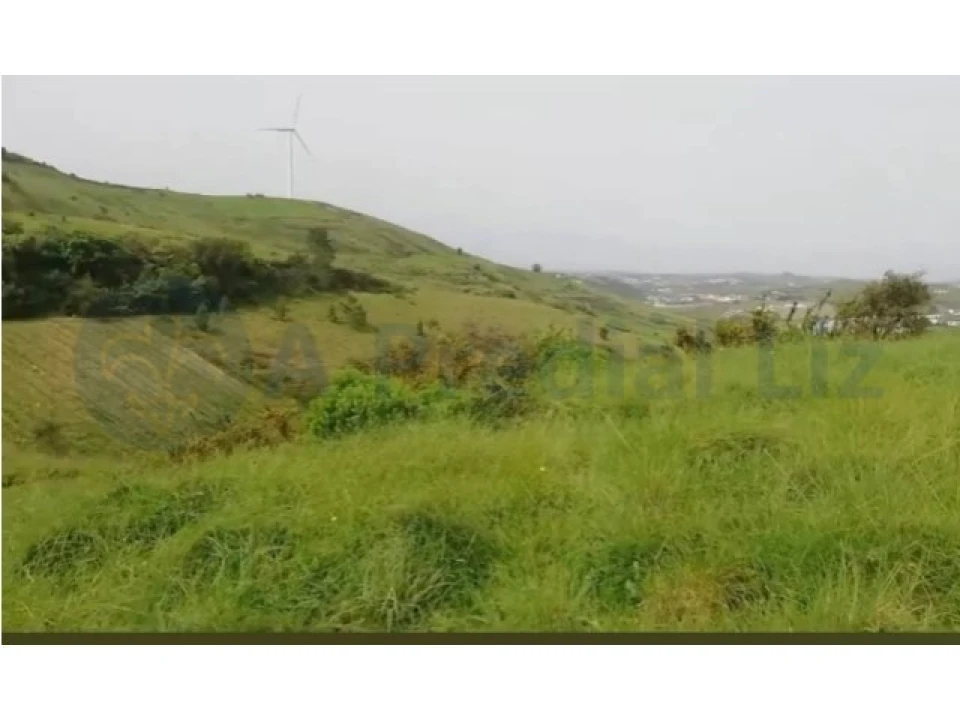 Terreno para Venda em Milharado Foto 8