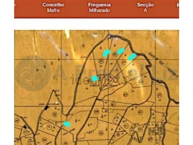 Terreno para Venda em Milharado Foto 4