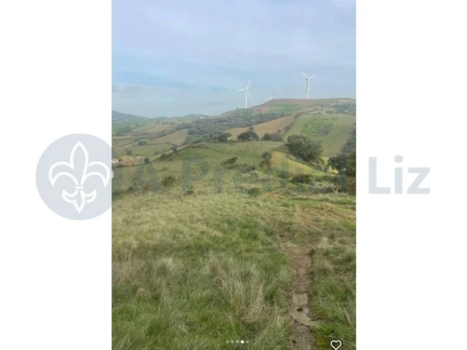 Terreno para Venda em Milharado Foto 9