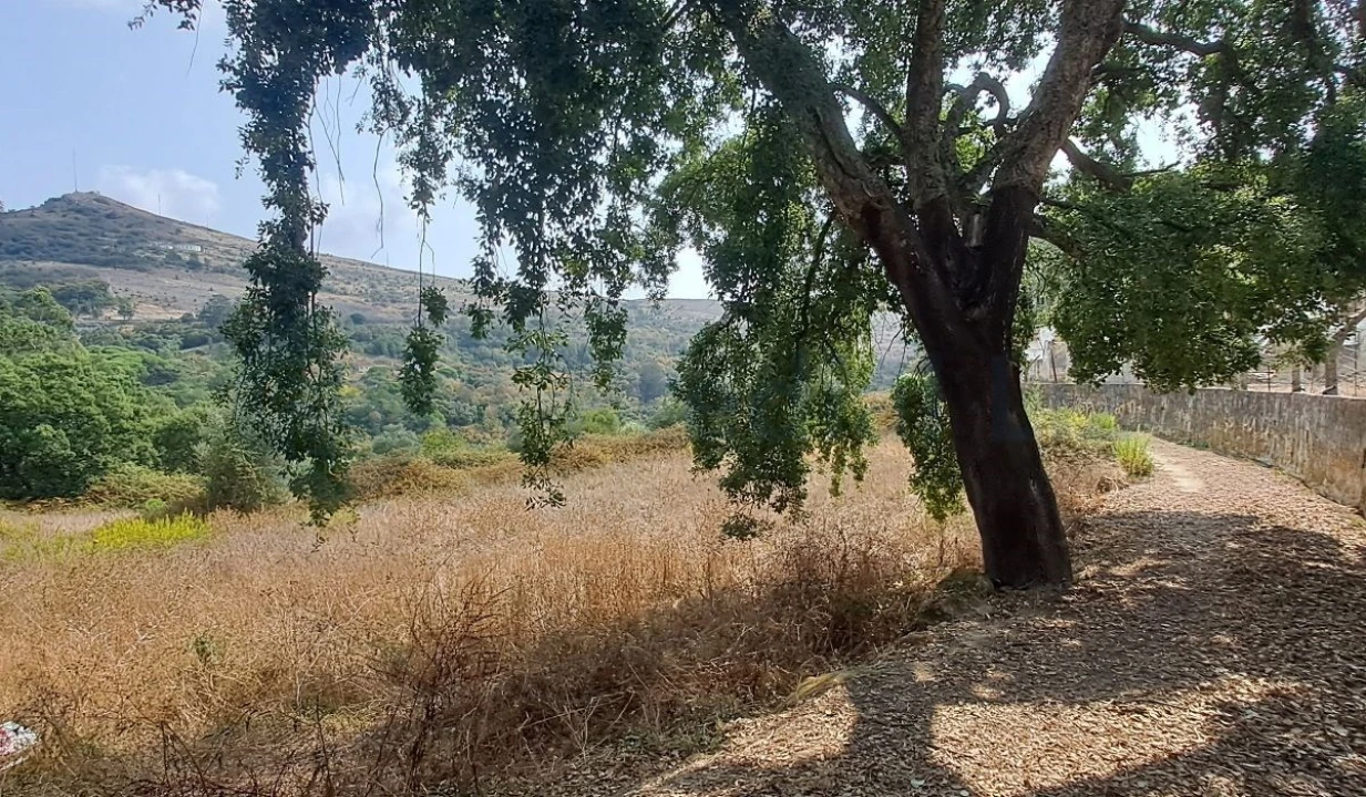 Terreno para Venda em Lousa Foto 8