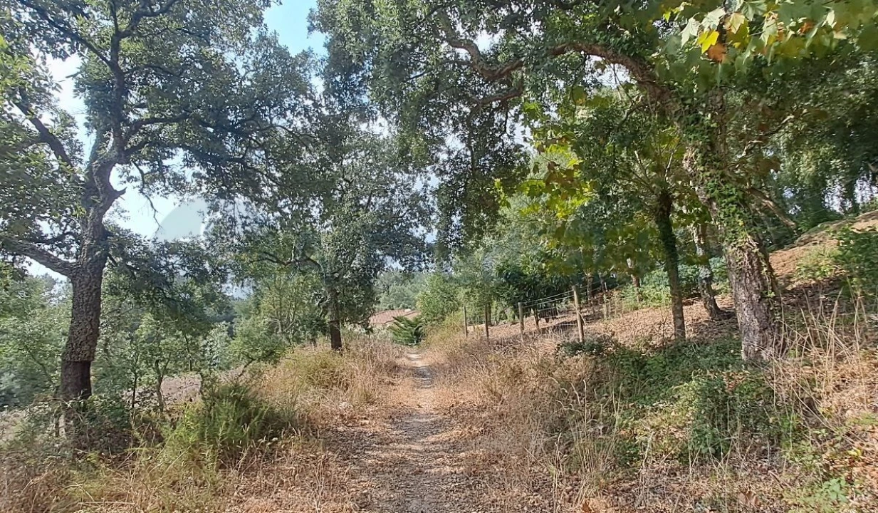 Terreno para Venda em Lousa Foto 10