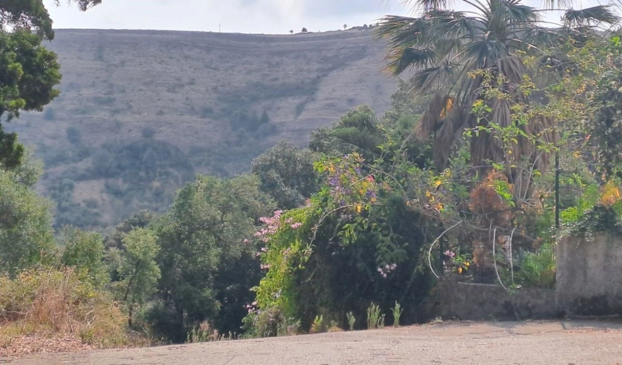 Terreno para Venda em Lousa Foto 11
