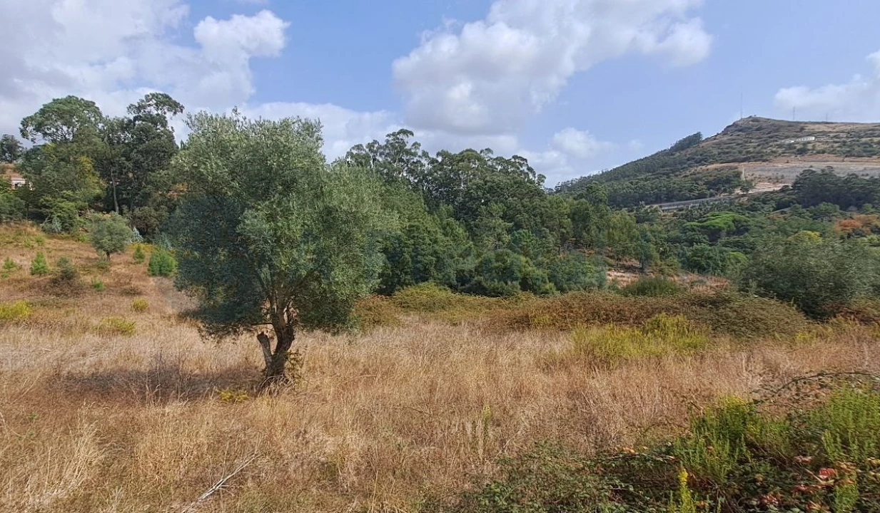 Terreno para Venda em Lousa Foto 14
