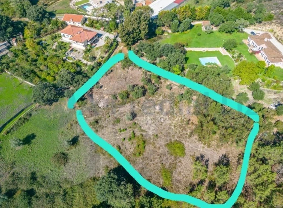 Terreno para Venda em Lousa Foto 16