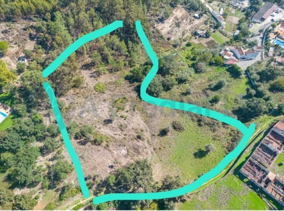 Terreno para Venda em Lousa Foto 18