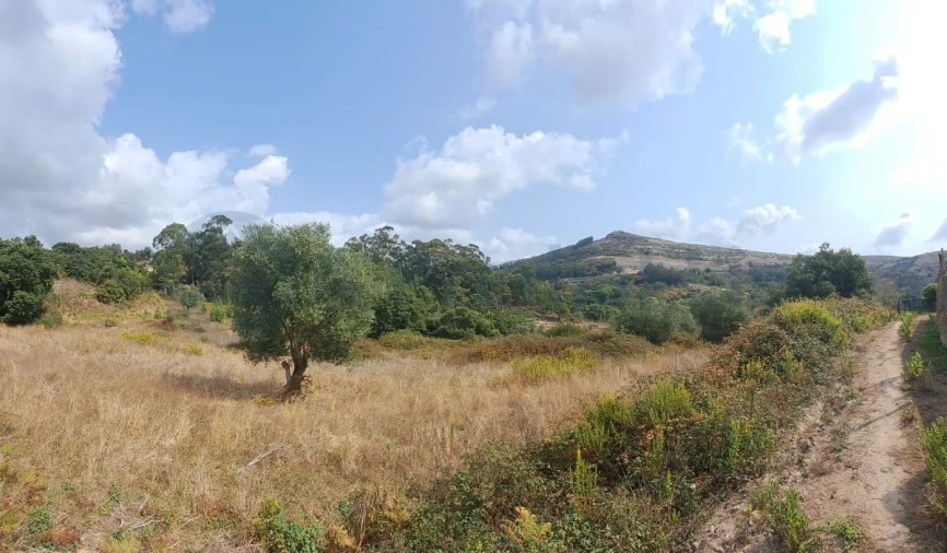 Terreno para Venda em Lousa Foto 2