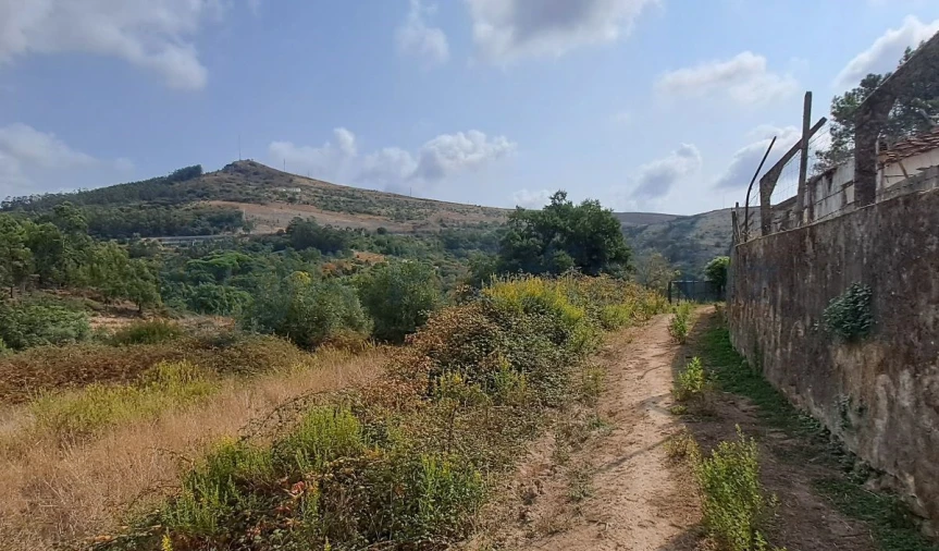 Terreno para Venda em Lousa Foto 3