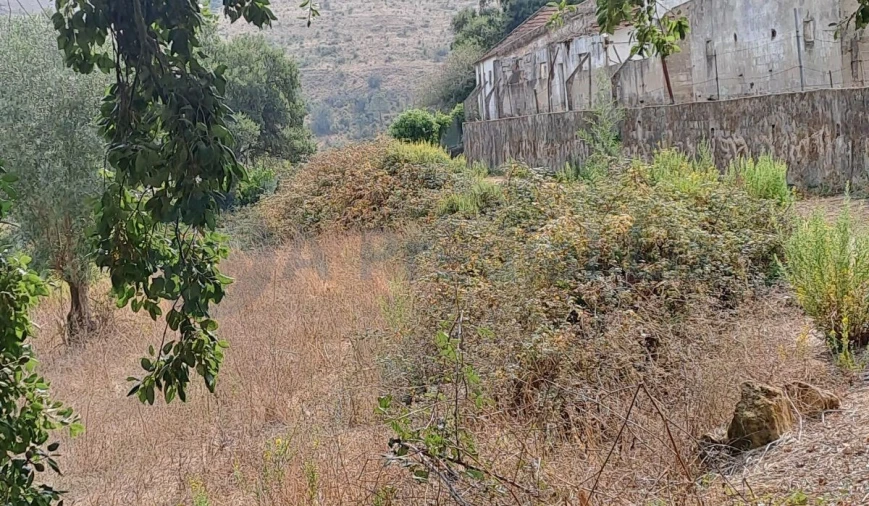 Terreno para Venda em Lousa Foto 5