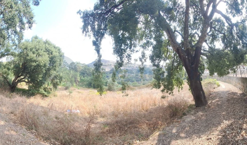 Terreno para Venda em Lousa Foto 7