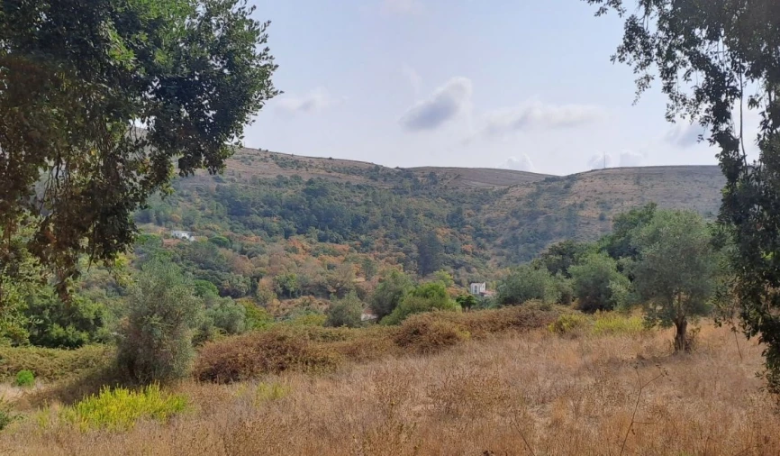 Terreno para Venda em Lousa Foto 9