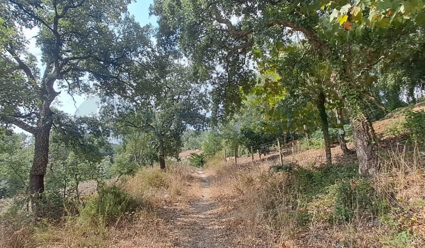 Terreno para Venda em Lousa Foto 10