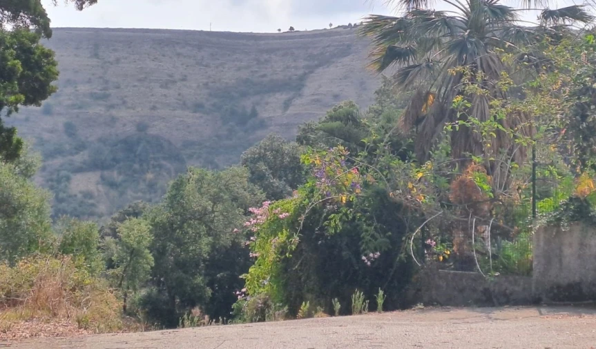 Terreno para Venda em Lousa Foto 11