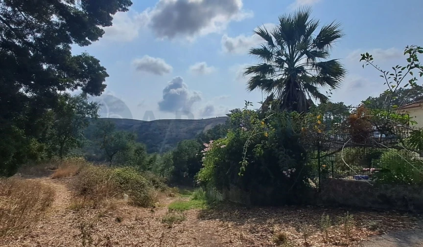 Terreno para Venda em Lousa Foto 12