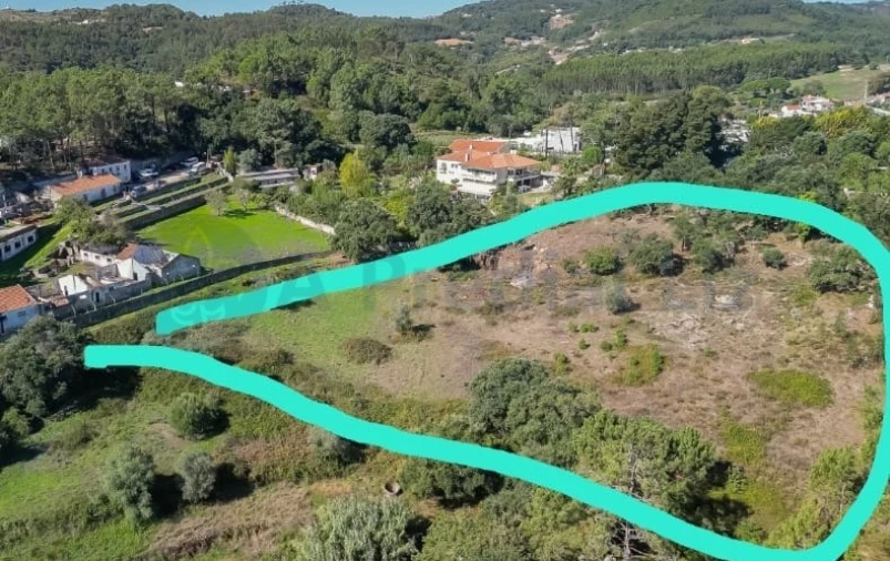 Terreno para Venda em Lousa Foto 13