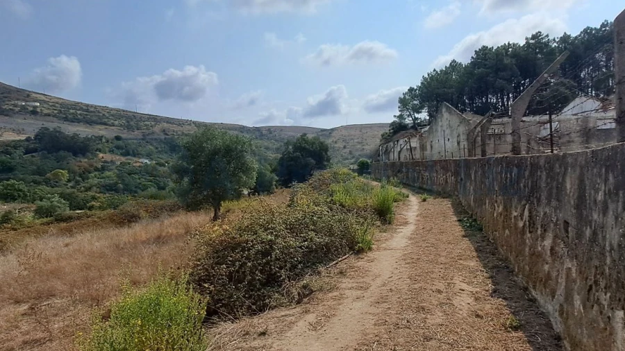 Terreno para Venda em Lousa