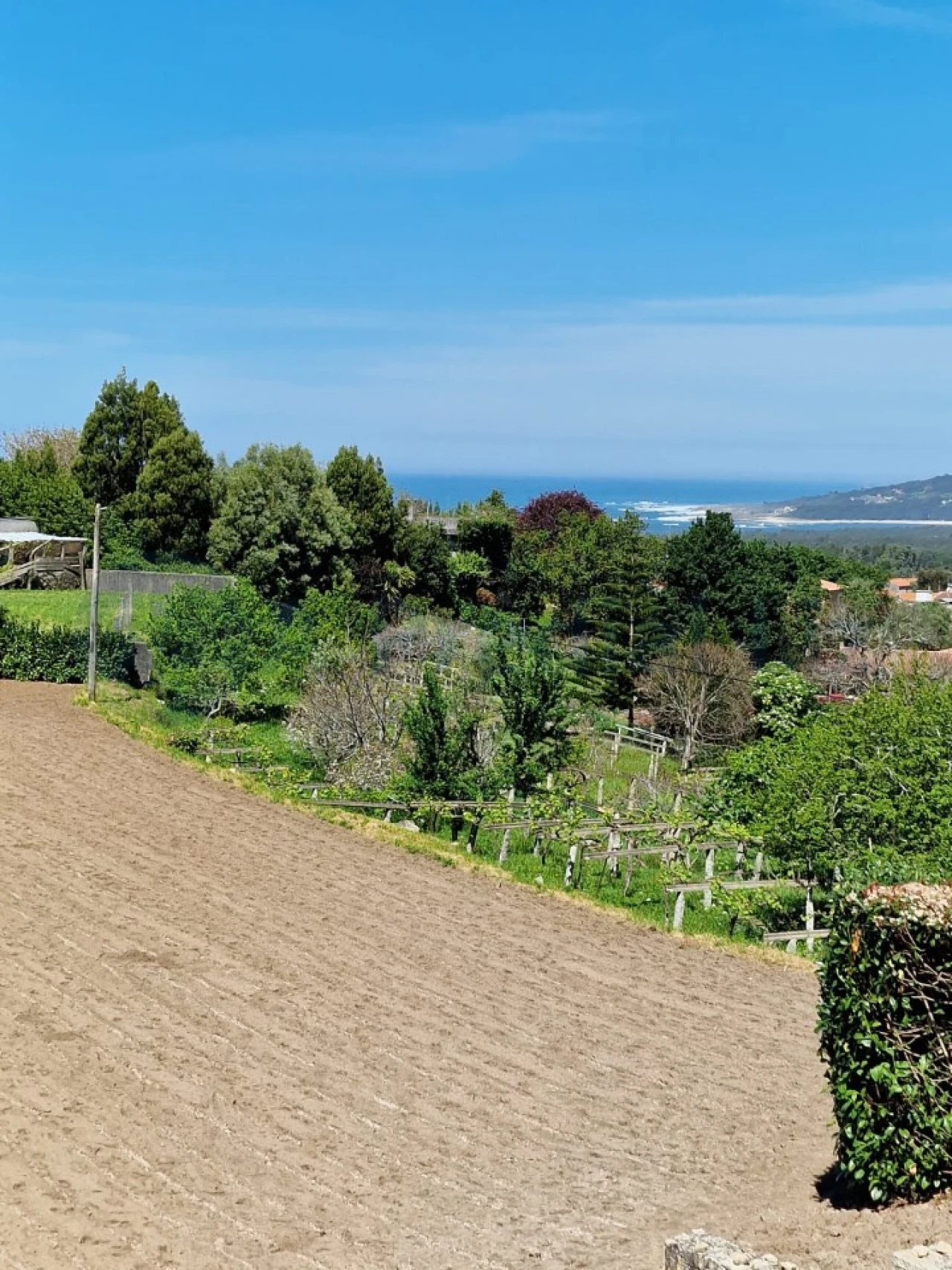 Terreno para Venda em Moledo e Cristelo Foto 4